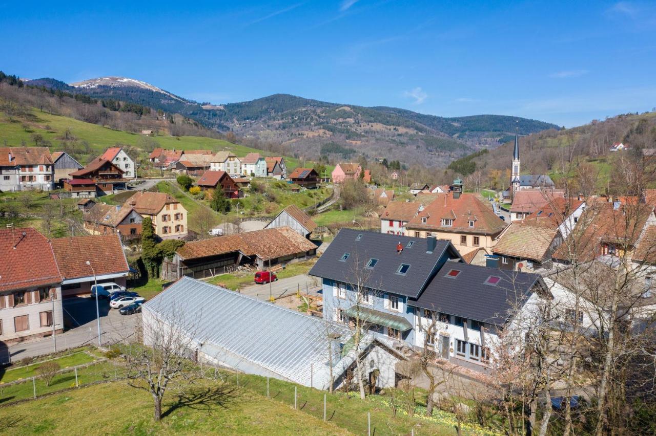 Locations Des 3 Sommets Avec Sauna Et Spa En Alsace Sondernach Экстерьер фото