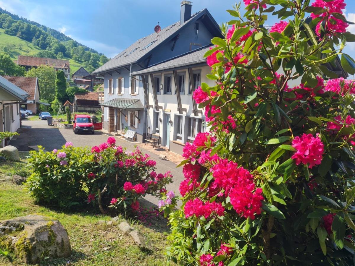Locations Des 3 Sommets Avec Sauna Et Spa En Alsace Sondernach Экстерьер фото