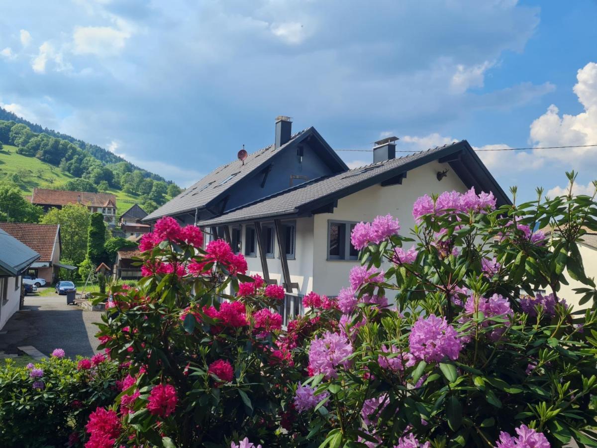 Locations Des 3 Sommets Avec Sauna Et Spa En Alsace Sondernach Экстерьер фото