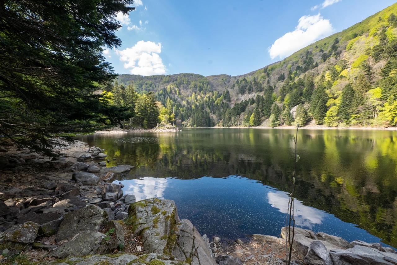 Locations Des 3 Sommets Avec Sauna Et Spa En Alsace Sondernach Экстерьер фото