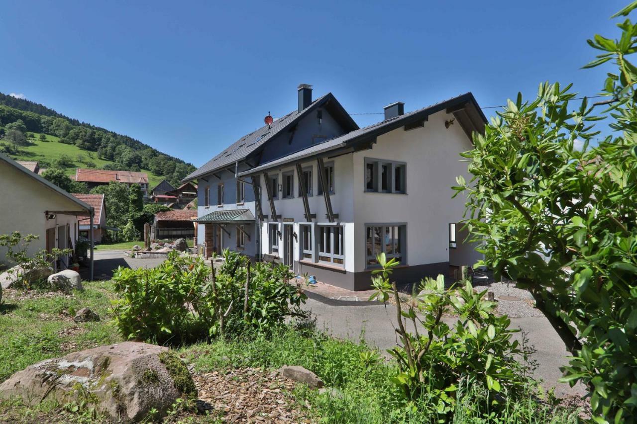 Locations Des 3 Sommets Avec Sauna Et Spa En Alsace Sondernach Экстерьер фото