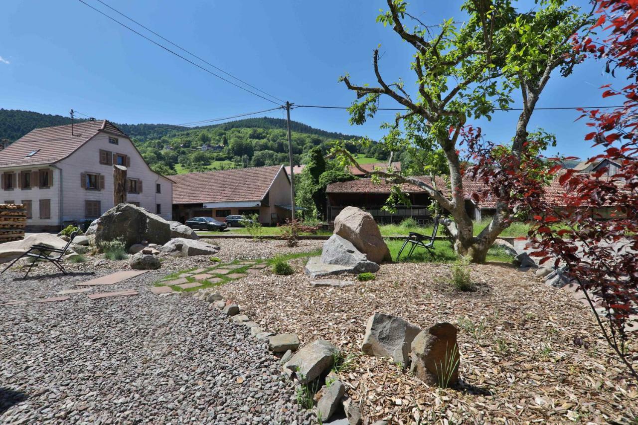 Locations Des 3 Sommets Avec Sauna Et Spa En Alsace Sondernach Экстерьер фото